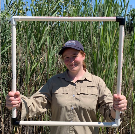 The Phragmites Adaptive Management Framework: Using participatory science to manage the invasive common reed effectively